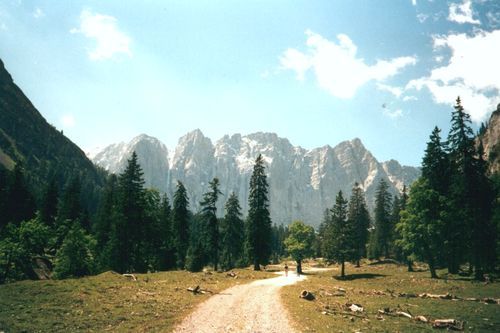 picture