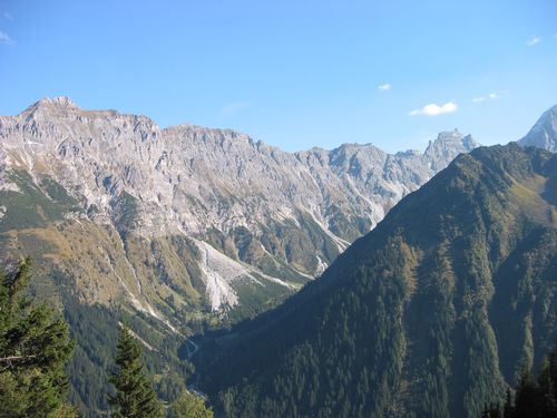 picture