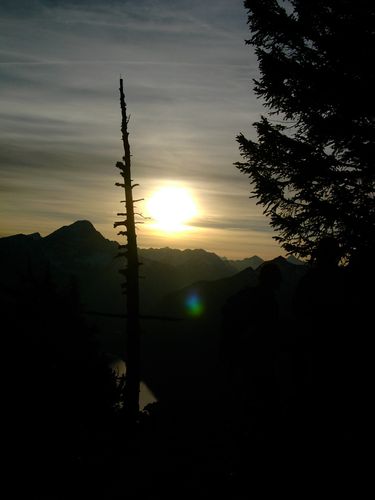 picture