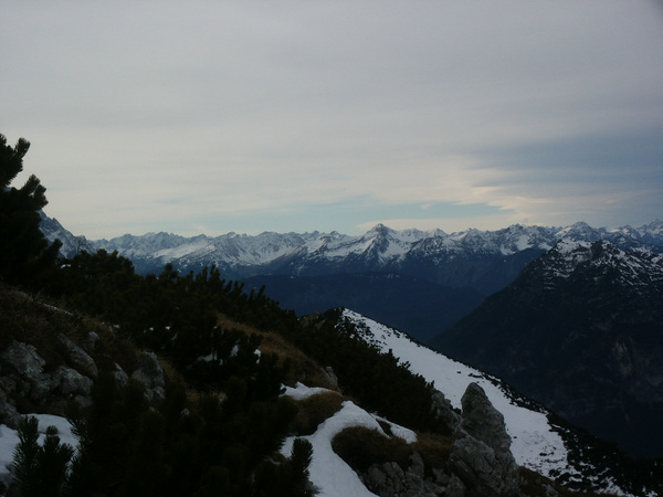 picture