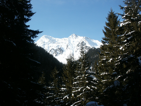 picture