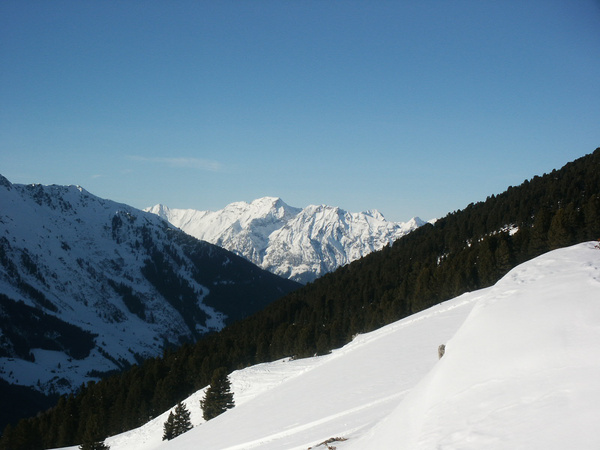 picture
