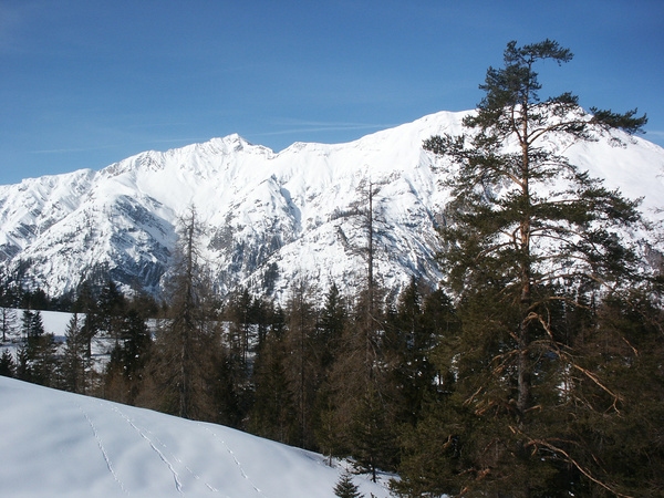 picture