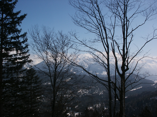 picture
