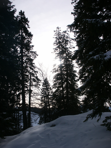 picture