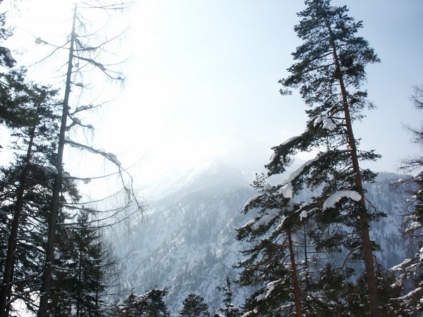 picture