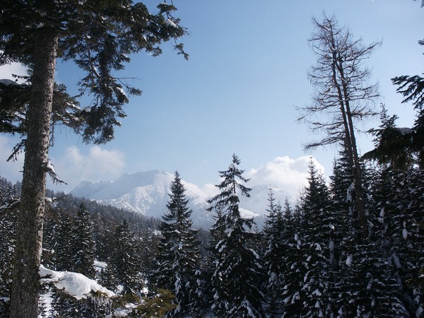 picture