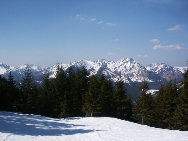 picture