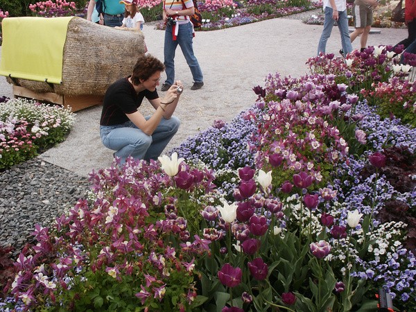 picture