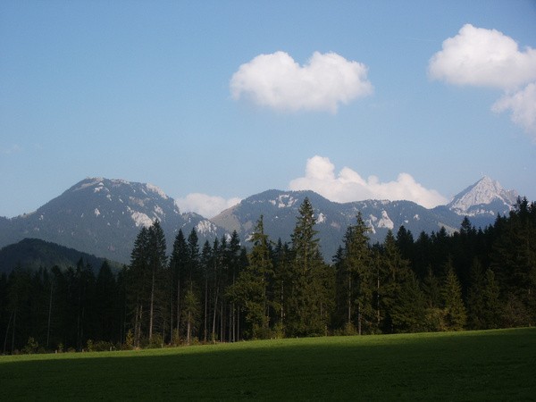 picture