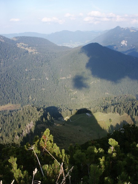 picture