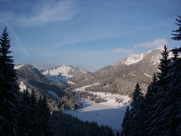 picture