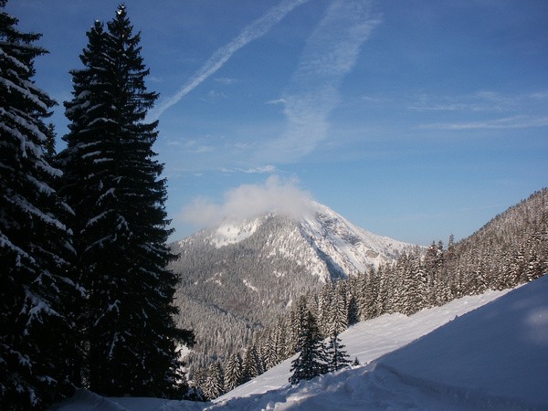 picture