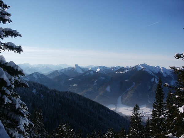 picture