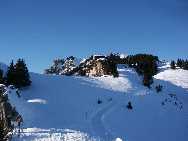 picture