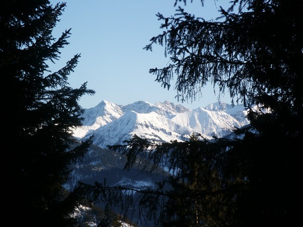 picture