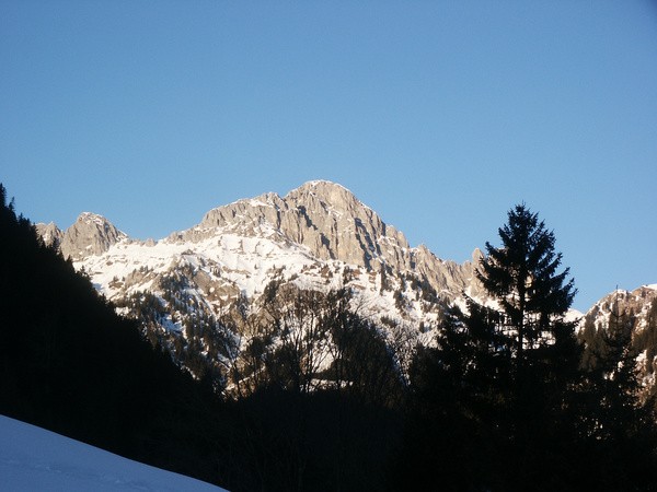 picture