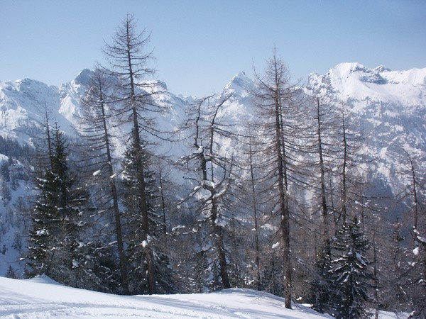 picture