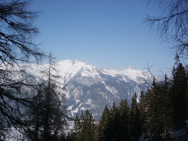 picture