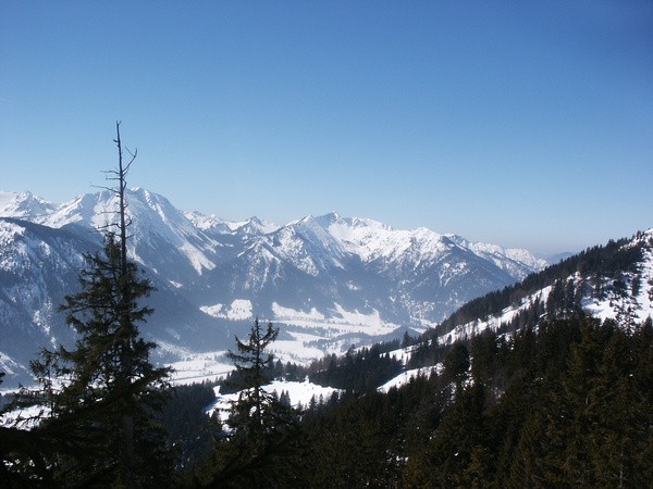 picture