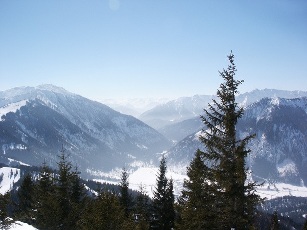picture