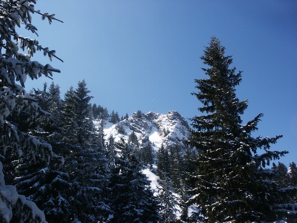 picture