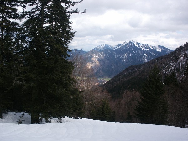 picture
