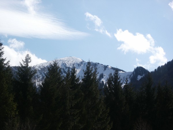 picture