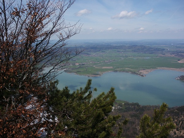 picture