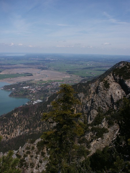 picture
