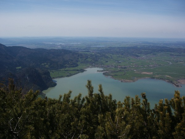 picture