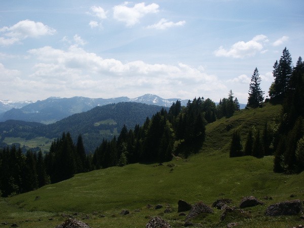 picture