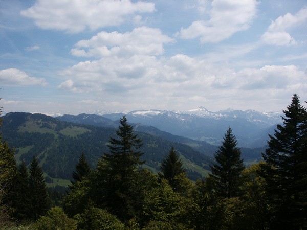 picture