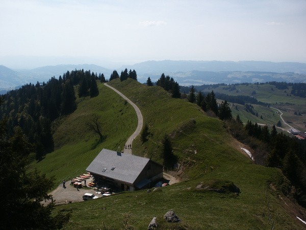 picture