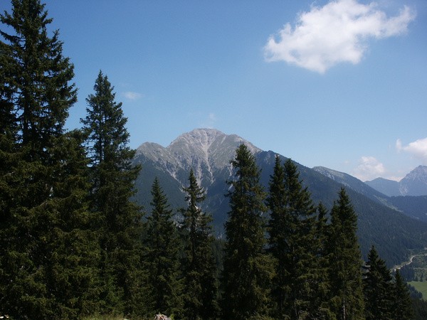 picture