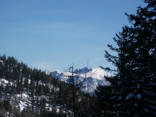 picture