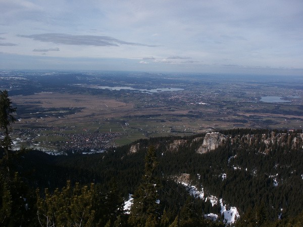 picture