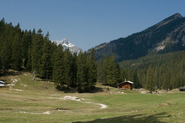picture