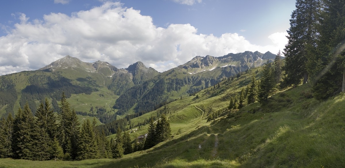 panorama_picture