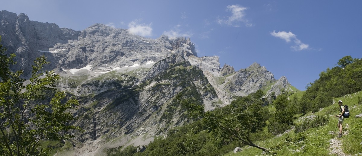 panorama_picture