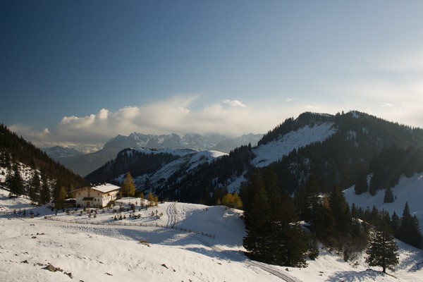 picture