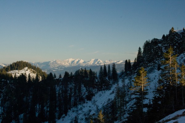 picture