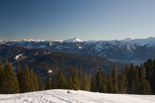 picture