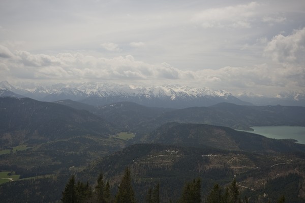 picture