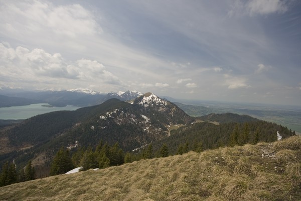 picture