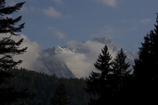 picture