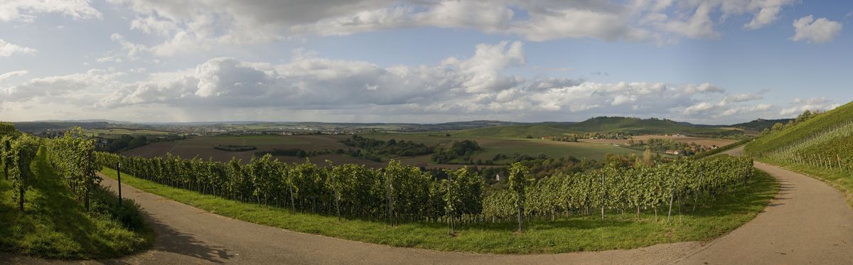 panorama_picture