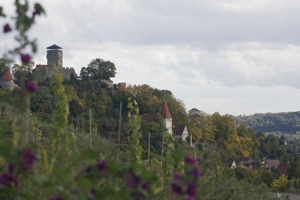 picture