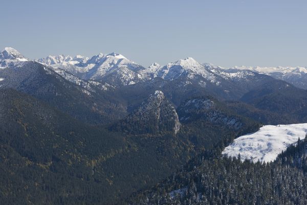 picture