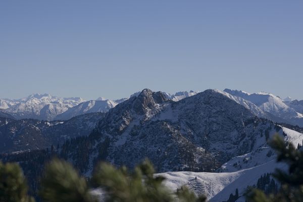 picture